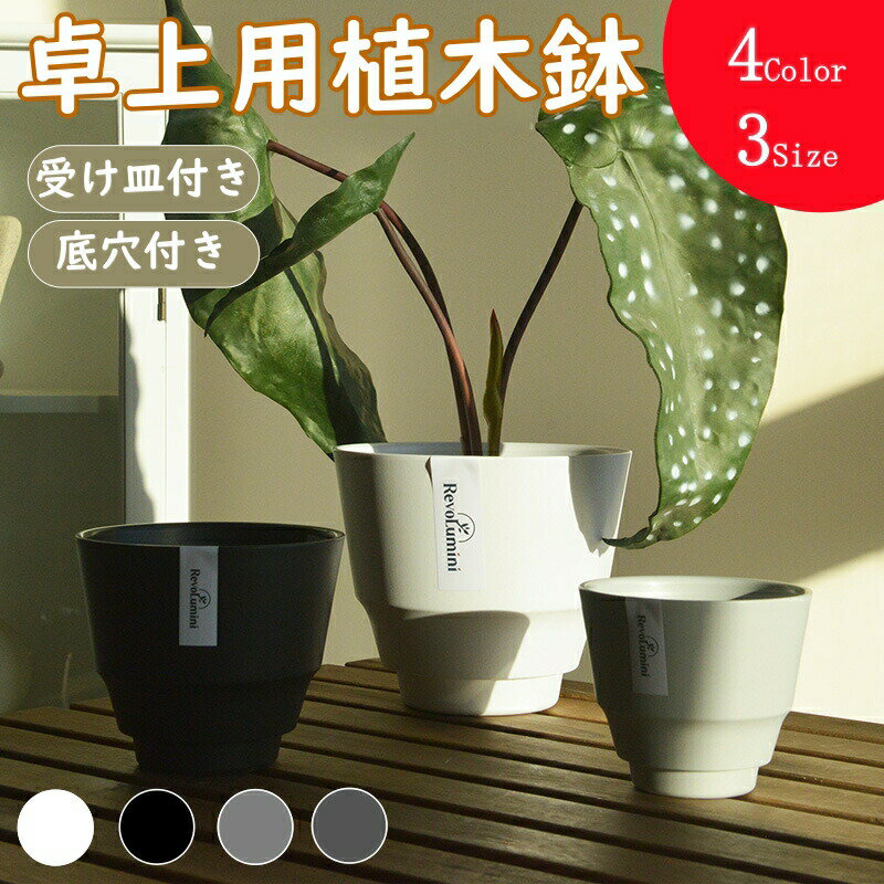 乐天商城 - 【レビュー特典】植木鉢 おしゃれ 北欧風 軽量 卓上 多肉植物 プラスチック受け皿付き 室内 屋外 排水穴付き 観葉植物 鉢カバー インテリア 丸型 4号 5号 6号~7号程度