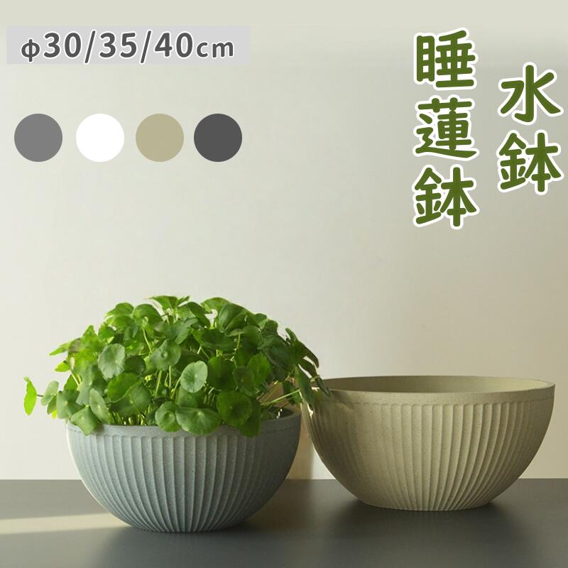 楽天市場】室内 睡蓮鉢の通販