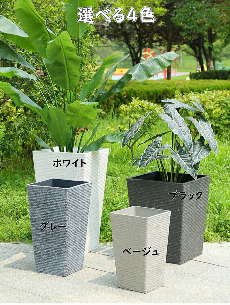 imgrc0117470665.jpg