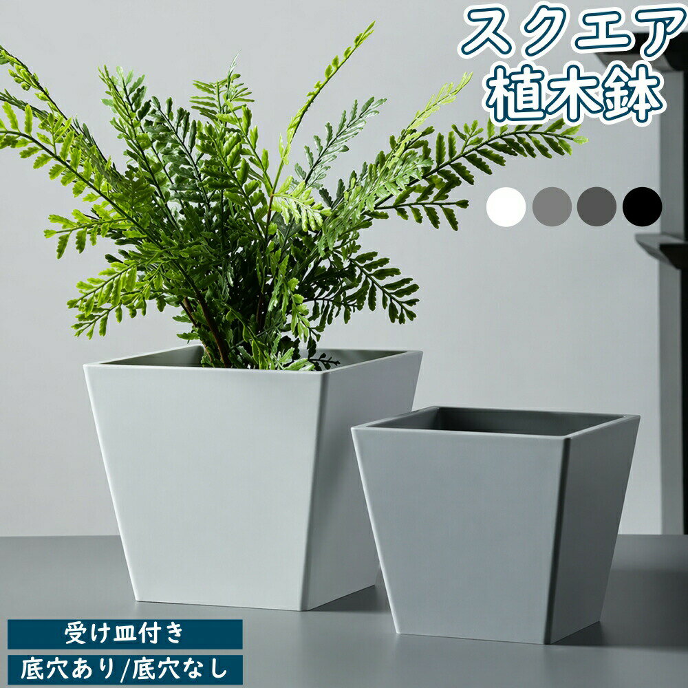 乐天商城 - 【レビュー特典】植木鉢 鉢植え プランター スクエア 鉢 受け皿付き 北欧 軽い おしゃれ モダン角鉢 樹脂 天然石粉 室内 屋外 底穴付き/底穴なし 観葉植物 おしゃれ 鉢カバー 4〜5号相当 5〜6号相当 6〜7号相当ホワイト ブラック ライトグレー ダークグレー