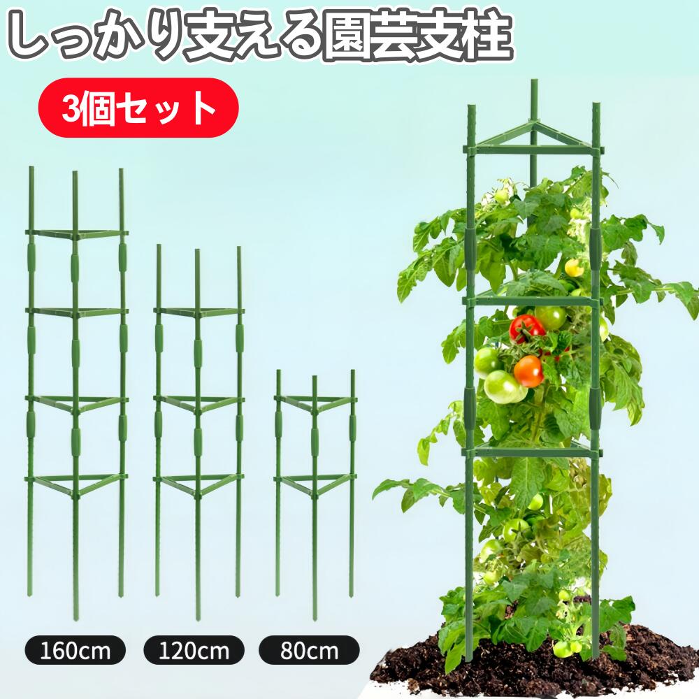 乐天商城 - 【3個セット】園芸支柱 植物支柱 トマト支柱 棚 支柱 高さ80cm 120cm 160cm つる性 観葉植物 誘引 ガーデニング用 棚セット 園芸サポート きゅうり棚 野菜棚 栽培棚 組み立て式 空中栽培 ガーデニング用品 家庭菜園