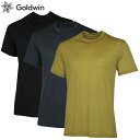 Goldwin(S[hEB) A/L Hybrid Wool T-shirt (AhoXhCgnCubhE[eB[Vc)