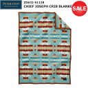 PENDLETON(ペンドルトン) ZD632 Chief Joseph Crib Blanket 19373097 (アクア)(3)