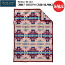 PENDLETON(yhg) ZD632 Chief Joseph Crib Blanket 19373097 (sN)