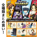 リーメント SHAMAN KING DesQ デスクトップシャーマン Re-ment 全種類 BOX フルコンプリートセット 箱買い ミニチュア ドール 再現 雑貨 フィギュア まとめ買い 被りなし インテリア おしゃれ 可愛い 実用的 シャーマンキング 麻倉葉 恐山アンナ 収納 卓上アイテム 整理 整頓