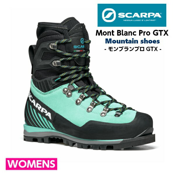 SCARPA  ֥ץGTX 