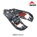 MSR エムエスアール EVOアッセント