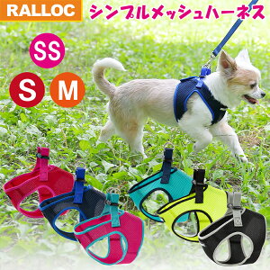 犬用ハーネス｜おしゃれなミニチュアダックス用！抜けにくい人気ハーネスのおすすめは？