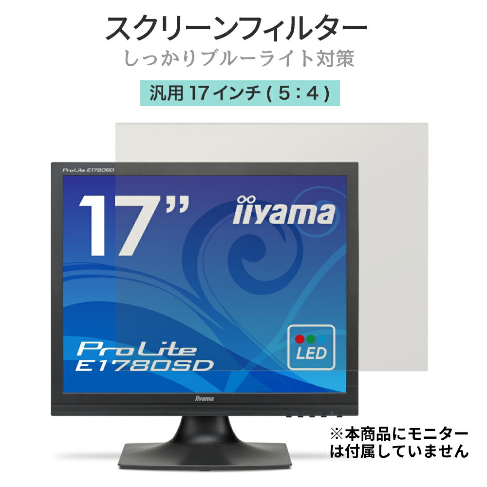 LOE(ロエ) 17インチ (5:4) ブルーライトカット フィルター 液晶 モニター スクリーン アクリル 保護 パネル フィルム ゲームモニター テレビ ガード 据え置き型 17型 スクエア型 (グレア) 1