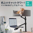 LOE(ロエ) デュアルアーム型 キャットタワー デスク取り付け型 猫用ベッド モニター・ノートPC設置可能 アームスタンド 省スペース 多頭飼い対応 (デュア...