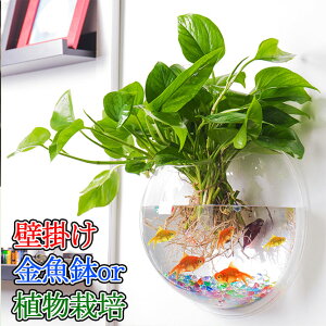 壁掛け 金魚鉢 壁掛け植物 栽培 花瓶　盆栽 水槽 鉢植え 植木鉢 プランター 【送料無料】 観葉植物 栽培 プランツ 壁に掛ける インテリア