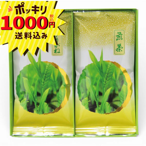 【1000円ポッキリ 送料�