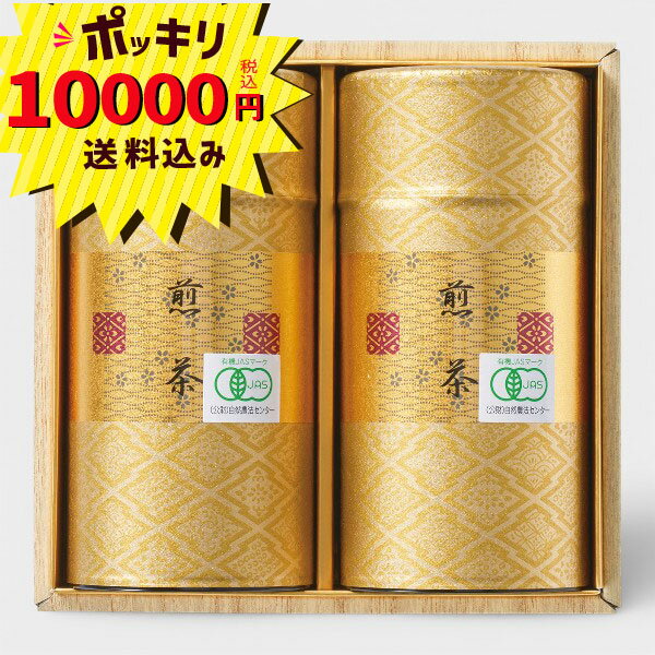【10000円ポッキリ 送料無料】有機深むし煎茶NO C100( 健康志向 有機JAS認定 最高級茶 お茶 茶葉 新築 長寿 ギフト 快気祝い 内祝い お返し お礼 御祝 お祝返し ご挨拶 香典返し 仏事 法事 志 法要 回忌 弔事 慶事)