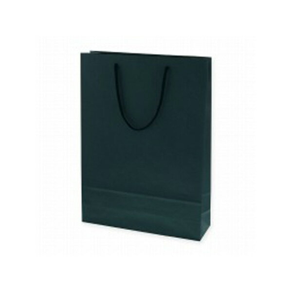 Bags - カラーバッグM45