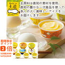【メーカー直送】高知 土佐 高知アイスセット(ギフト 引き出物 引出物 快気祝い 結婚式 内祝い お返し 引越し ご挨拶 香典返し)