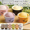 【メーカー直送】乳蔵 北海道アイスクリーム12個(プレミアムバニラ入)(ギフト 引き出物 引出物 快気祝い 結婚式 内祝い お返し 引越し ご挨拶 香典返し)