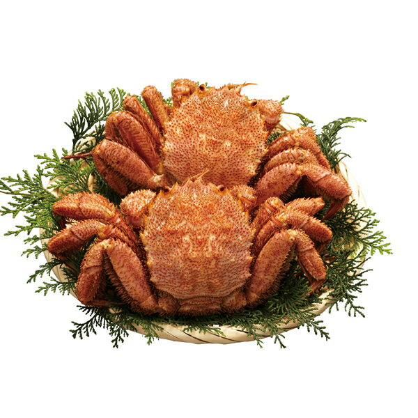 【メーカー直送】北海道産ボイル毛がに2尾(ギフト　引き出物　引出物　快気祝い　結婚式　内祝い　お返し　引越し　ご挨拶　香典返し　お歳暮　お祝い　お礼　お取り寄せ　手土産　誕生日　人気　プレゼント　おうちグルメ　冬グルメ)