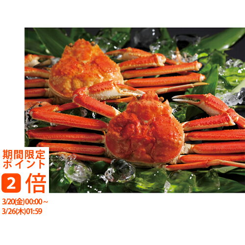 【メーカー直送】ボイルずわいがに姿2尾（40） 400＊2(ギフト 引き出物 引出物 快気祝い 結婚式 内祝い お返し 引越し ご挨拶 香典返し)