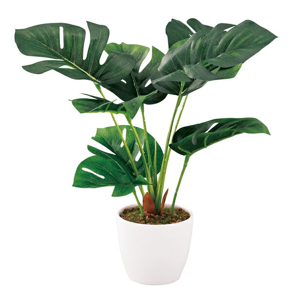 【メーカー直送 北海道・沖縄・離島別途送料】SC触媒加工 ミニ観葉 モンステラ（フェイクグリーン）(ギフト 引き出物 引出物 快気祝い 結婚式 内祝い お返し 引越し ご挨拶 香典返し)