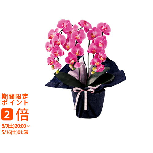 Buddhist Altar Ritual Articles - 【メーカー直送 北海道・沖縄・離島別途送料】SC触媒加工 ミニ胡蝶蘭三本立ち（アーティフィシャルフラワー） ダークラベンダー(ギフト　引き出物　引出物　快気祝い　結婚式　内祝い　お返し　引越し　ご挨拶　香典返し)
