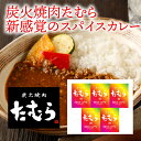 楽天ギフトのラムビット【メーカー直送】炭火焼肉たむら 新感覚のスパイスカレー（御歳暮 お歳暮 御祝 ギフト 内祝い 出産内祝い 結婚内祝い 快気祝い 快気内祝い 新築内祝い お祝い 返し お祝い お礼 御礼 お中元 御中元 グルメ）