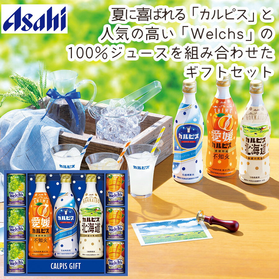 ڥ᡼ľۥԥեVL30R(̳ƻ ɲûβ  ۥ磻ȥ졼 100 ޥ󥴡֥ ɥ ...