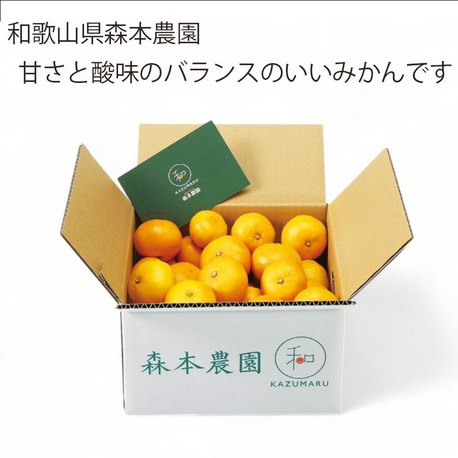 【送料無料】【期間限定】【メーカー直送】S 和歌山森本農園紀州みかん3kg (果物 フルーツ)