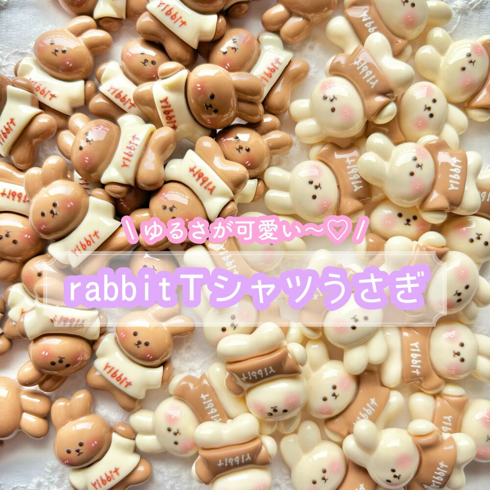 【1~4個】rabbit Tシャツうさぎ デコパ