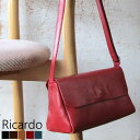 Ricardo Jh V_[obO { ChCWp 25cm Ԃ Op {v v IWiuh OZ[  Vv i` l wl fB[X  643