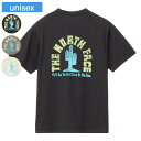 THE NORTH FACE ザ ノースフェイス Tシャツ ショートスリーブフラッシュドライカクタスロゴティー ユニセックス 半袖 速乾性 静電気防止 NT32...
