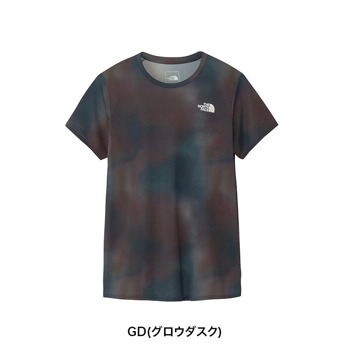 THE NORTH FACE ザノースフェイス Tシャツ ショートスリーブGTDメランジクルー レ...