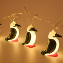 CHUMS チャムス Booby Strings Light ブービーストリングスライト 電飾ライト テントアクセサリー 使用電源:単3乾電池3本(別売) CH62-1952