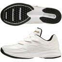 Mizuno ミズノ 【ミズノプロ】 ウエーブライトレボラン プロ KL 野球 ソフトボール トレーニングシューズ メンズ 2022年春夏 ホワイト×ホワイト ...
