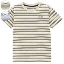 THE NORTH FACE ザ ノースフェイス S/S BORDER TEE ショートスリーブボーダーティー Tシャツ 半袖 ジュニア キッズ 子供 2カラーNTJ32317(4)