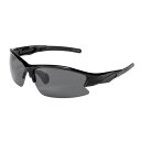Rawlings ローリングス サングラス POLARIZED 偏光レンズ 高校野球ルール対応 野球 ランニング スポーツ レジャー REW21-004P-HS(4)