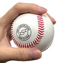 SSK エスエスケイ 硬式野球用 練習球 天然皮革 中国製 1球バラ売り 個包装なし 高校野球 GD89
