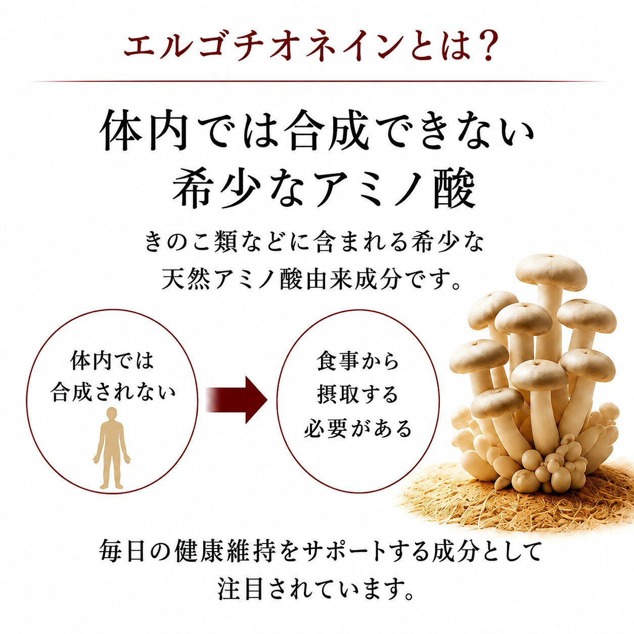 L - エルゴチオネイン カプセル EGT 1800 日本製 JOKARI 賞味期限2029年7月 ジョカリ送料無料 ポイント5倍 randomstore-10000264 Random store サンプル画像2