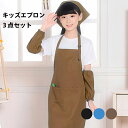 エプロン キッズ 三角巾 3点セット 柔らかい シンプル こども おしゃれ かわいい 入園入学 かぶり かんたん 簡単 収納袋付き バッグ ポケット ポリエステ...
