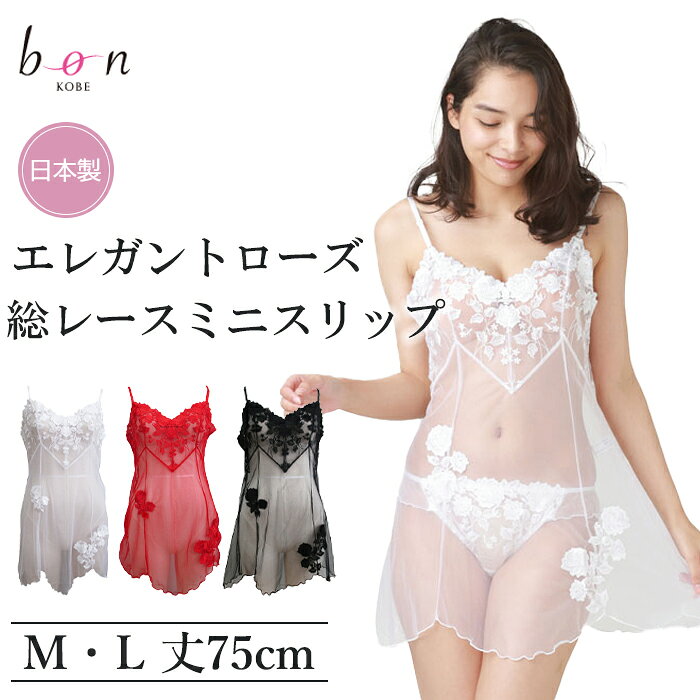 《10月18日迄ポイント5倍》《レビューで300円クーポン進呈》Bon Ravaireボンレヴェール 総レーススリップ M/L 丈75 1メ-2運 181201 【N】【送料無料】
