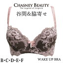 u  `FXj[r[eB[ CHASNEYBEAUTY WAKE UP BRA EFCNAbvu[CB3100/151]AMBER Ao[ J u 3/4JbvuW[ ␳u ␳ p  e yAz