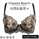 育乳ブラ 昼 チェスニービューティー CHASNEYBEAUTY WAKE UP BRA ウェイクアップブラ MILA ミラ 谷間 育乳ブラ 3/4カップブラジ...