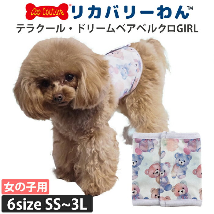 テラクール・ドリームベアベルクロGIRL 犬用 腹巻 女の子用ペットアイテム 小型犬 中型犬 全種犬 シニア犬 テラヘルツワン 日本製 クークチュール リカバリーウェア 1メ-2運 7327 【T】【送料無料】