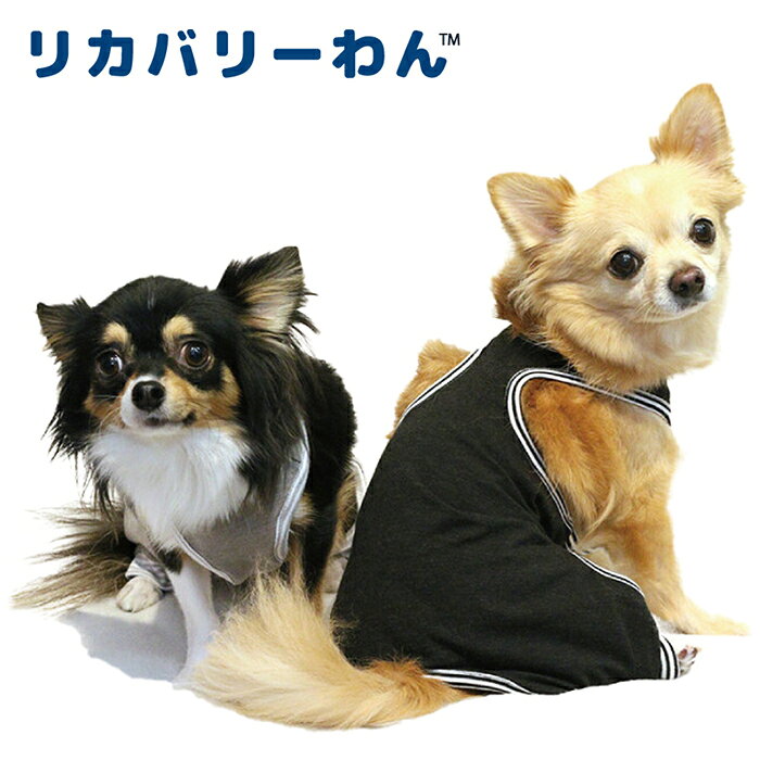 《9月1日迄ポイント5倍》リカバリーわん(テラヘルツワン)ランニングカバーオール ペット介護 犬用 ペットウェア 小型犬 胴長タイプ シニア犬 ドッグウェア 犬服 テラヘルツワン 日本製 クークチュール リカバリーウェア 2メ-3運 0005 【T】【送料無料】 ranfan-10033381 肌着屋ランファン サンプル画像2