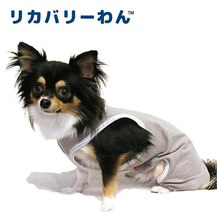 《9月1日迄ポイント5倍》リカバリーわん(テラヘルツワン)ランニングカバーオール ペット介護 犬用 ペットウェア 小型犬 胴長タイプ シニア犬 ドッグウェア 犬服 テラヘルツワン 日本製 クークチュール リカバリーウェア 2メ-3運 0005 【T】【送料無料】 ranfan-10033381 肌着屋ランファン サンプル画像3