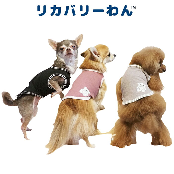 《9月1日迄ポイント5倍》リカバリーわん(テラヘルツワン)ベアタンクトップ (3色)ペット介護 犬用 ペットウェア 小型犬 胴長タイプ シニア犬 ドッグウェア 犬服 テラヘルツワン 日本製 クークチュール リカバリーウェア 2メ-3運 12385 【T】【送料無料】 ranfan-10033400 肌着屋ランファン サンプル画像3