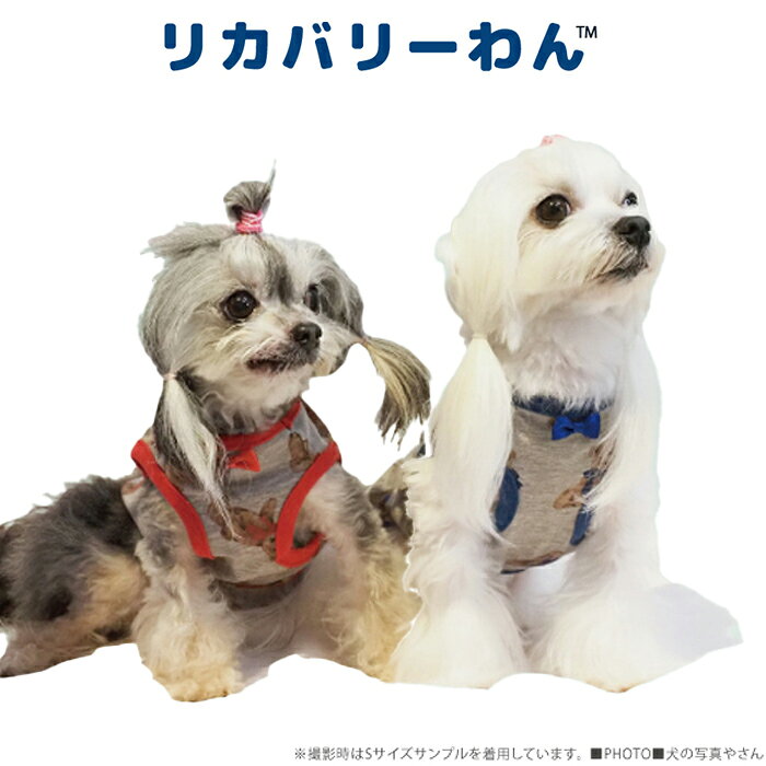 《9月1日迄ポイント5倍》リカバリーわん(テラヘルツワン)テラベアタンク ペット介護 犬用 ペットウェア 小型犬 胴長タイプ シニア犬 ドッグウェア 犬服 テラヘルツワン 日本製 クークチュール リカバリーウェア 2メ-3運 12386 【T】【送料無料】 ranfan-10033403 肌着屋ランファン サンプル画像3