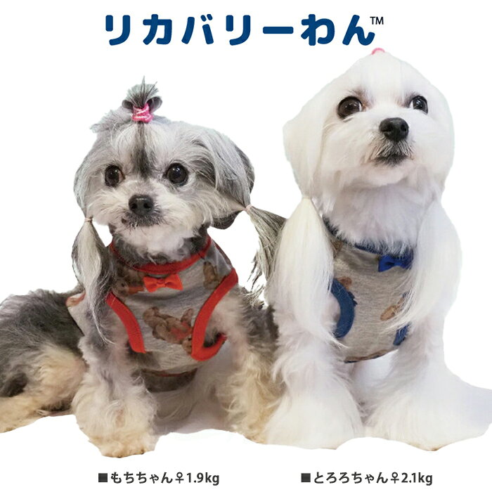 《9月1日迄ポイント5倍》リカバリーわん(テラヘルツワン)テラベアタンク ペット介護 犬用 ペットウェア 小型犬 胴長タイプ シニア犬 ドッグウェア 犬服 テラヘルツワン 日本製 クークチュール リカバリーウェア 2メ-3運 12386 【T】【送料無料】 ranfan-10033403 肌着屋ランファン サンプル画像2