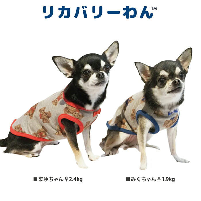 《9月1日迄ポイント5倍》リカバリーわん(テラヘルツワン)テラベアベルクロタンク (2色)ペット介護 犬用 ペットウェア 小型犬 胴長タイプ フレブル シニア犬 ドッグウェア 犬服 テラヘルツワン 日本製 クークチュール リカバリーウェア 2メ-3運 12388 【T】【送料無料】 ranfan-10033406 肌着屋ランファン サンプル画像2