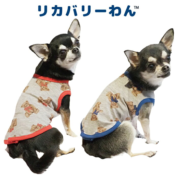 《9月1日迄ポイント5倍》リカバリーわん(テラヘルツワン)テラベアベルクロタンク (2色)ペット介護 犬用 ペットウェア 小型犬 胴長タイプ フレブル シニア犬 ドッグウェア 犬服 テラヘルツワン 日本製 クークチュール リカバリーウェア 2メ-3運 12388 【T】【送料無料】 ranfan-10033406 肌着屋ランファン サンプル画像3