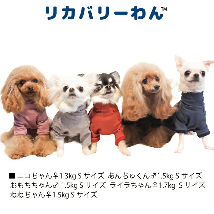 《9月1日迄ポイント5倍》リカバリーわん(テラヘルツワン)ハイネックTシャツ (5色)ペット介護 犬用 ペットウェア 胴長タイプ シニア犬 ドッグウェア 犬服 テラヘルツワン 日本製 クークチュール リカバリーウェア 2メ-3運 50051 【T】【送料無料】 ranfan-10033410 肌着屋ランファン サンプル画像2